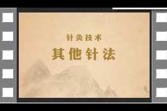 6.针灸技术-其他针法